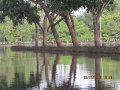 IMG_8469