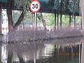 IMG_8470