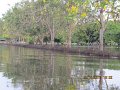 IMG_8471