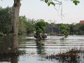 IMG_8472