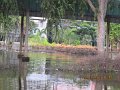 IMG_8473