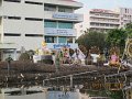 IMG_8474