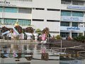 IMG_8475