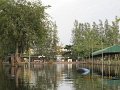 IMG_8476