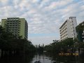 IMG_8481