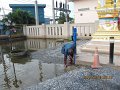 IMG_8493