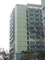 IMG_8514