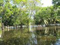 IMG_8531