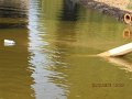 IMG_8542