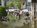 IMG_8545