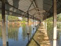 IMG_8552