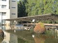IMG_8554