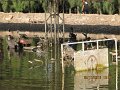 IMG_8555