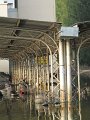 IMG_8569