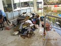IMG_8582