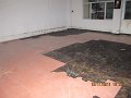 IMG_8605
