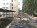 IMG_8653