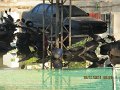 IMG_8661