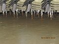 IMG_8678