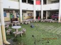IMG_8682