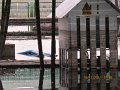 IMG_8695