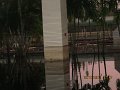 IMG_8698