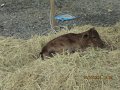 IMG_8702