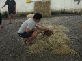 IMG_8706