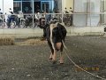 IMG_8712
