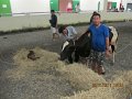 IMG_8714