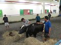 IMG_8715
