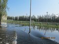 IMG_8767