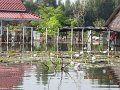IMG_8777