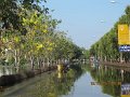 IMG_8781