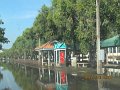 IMG_8784