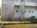 IMG_8792