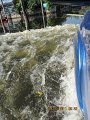 IMG_8795