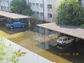 IMG_8799