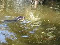 IMG_8805