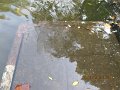 IMG_8837