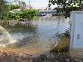 IMG_8858