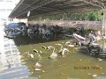 IMG_8861