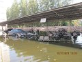 IMG_8862