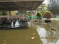 IMG_8863