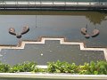 IMG_8871