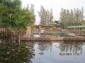 IMG_8878