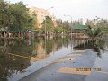 IMG_8882