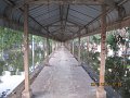 IMG_8885