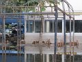 IMG_8886