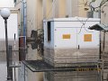 IMG_8887